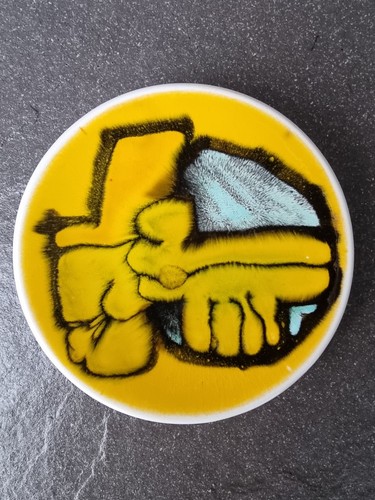 Poole pottery delphis pin - pottery,